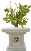 Tulsi to remove negative energy
