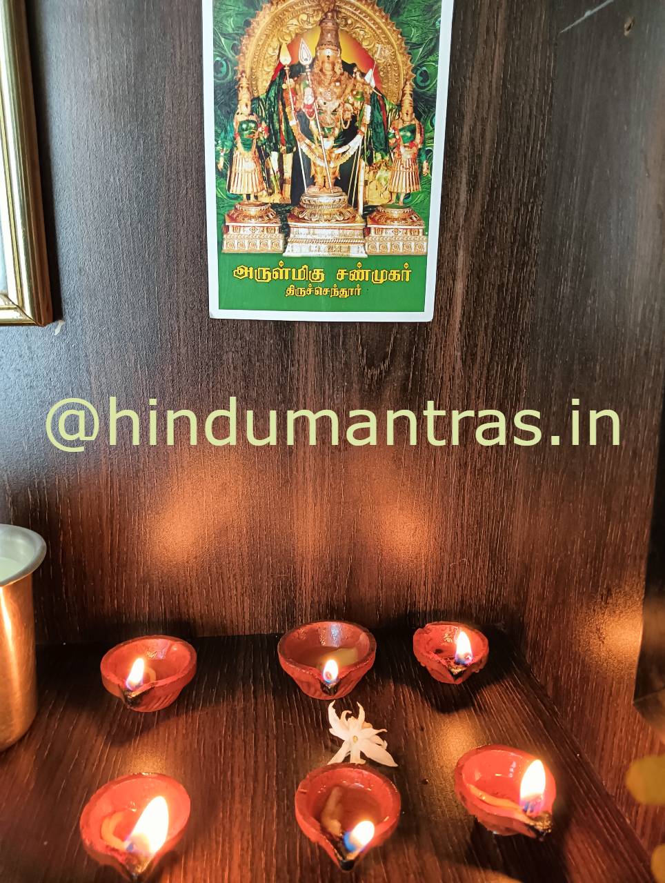 Vaikasi Visakam 2023 at my home HinduMantras.IN