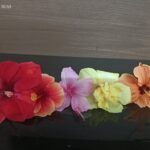 hibiscus for Gods